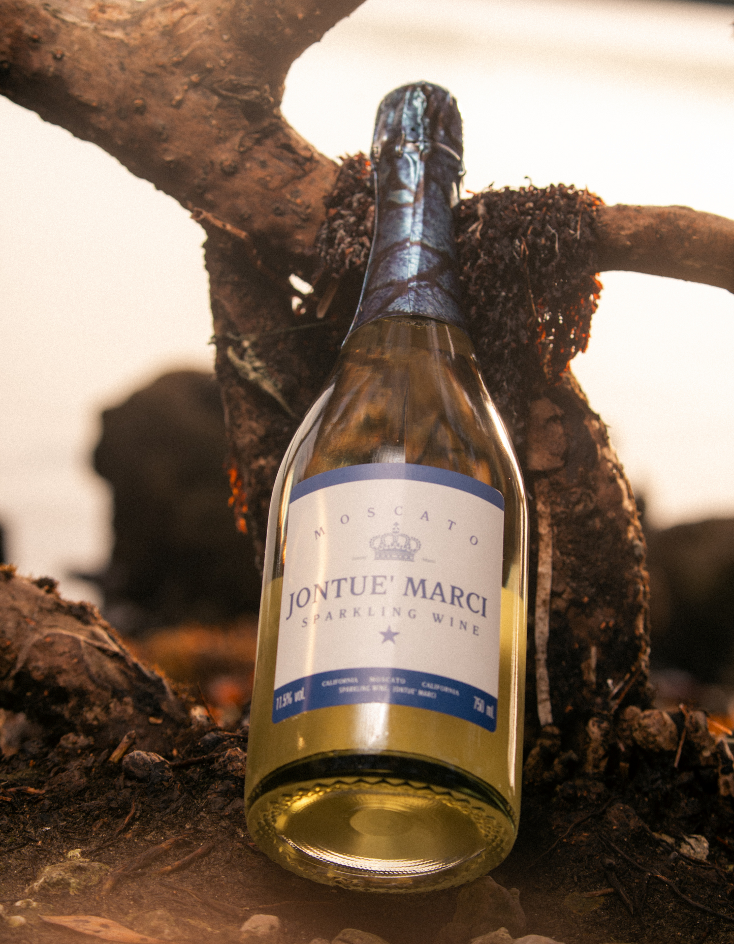 Sparkling Wine - Moscato